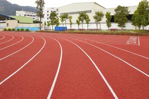 Quality High Elasticity Blue Red 13mm Artificial Running Track Fadeless wholesale