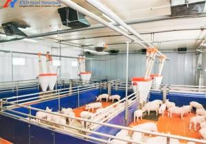 Quality Prefabricated Steel Frame Piggery House , Steel Structure Hog Shed wholesale