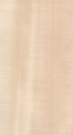 Real Wood Veneer Basswood Slice Cut For Size 13cm Up Flat Cut Straight For