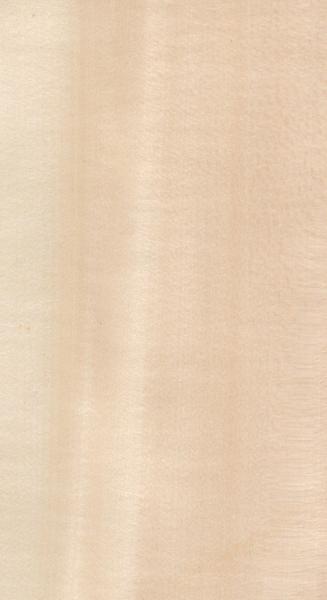 Real Wood Veneer Basswood Slice Cut For Size 13cm Up Flat Cut Straight For
