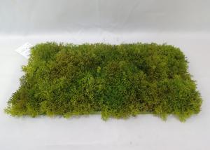 Quality Lifelike 25X50CM Green Faux Grass For Landscape Decoration wholesale