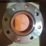 Duplex Stainless Steel A182 F51 F60 UNS S32205 Raised Face Forged Steel Welding