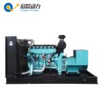Gas Generator 1MW Biogas Natural Gas LPG Generator