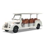 Street Legal Old Retro Golf Cart Buggy Antique Sightseeing Electric Vintage