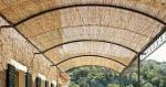ECO Friendly Decoration Panels Privacy Carbonized Natural Reed wicker Fence