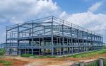Customized Steel Structure Building Poultry Farm Metal Frame Warehouse