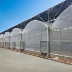200 Micron PE Film Multi Span Greenhouse Structure / Polyethylene Foil