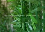5ft Bamboo Artificial Tree Indoor Fake Plant With Wooden Base