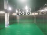 100 Square Meter Cold Storage Room -18­°C Stainless Steel Frozen Meat Freezer