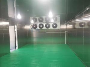 Quality 100 Square Meter Cold Storage Room -18­°C Stainless Steel Frozen Meat Freezer Room wholesale