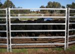 Oval Tube Cow Fence Panel