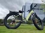 EB11 26"X4.0 Step Through Fat Tire Electric Bike 250/750/1000w