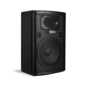 Quality 70hz-16khz 6 Inch Woofer Speaker 300w Meeting Room Speaker wholesale