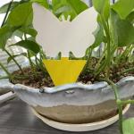 Farm Lawn Garden Yellow Glue Sticky Fly Insect Termite Trap Inserts Customized