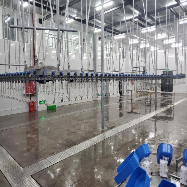 500PCS Automatic Poultry Slaughterhouse Equipment Stainless Steel Chicken