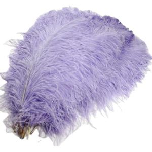 Quality Various Color Millinery Feather Ostrich Plume Feathers 50-55cm For Hat Decoration wholesale