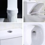 Fully Glazed Trapway Elongated Toilet Low Water Consumption