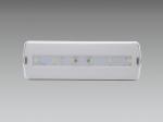 IP42 Waterproof Emergency Light Fixture ABS Recessed Surface Wall Recessed