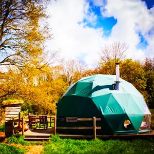 Quality Hemispherical Hotel Living Geodesic Dome Tent For Outdoor Camping wholesale