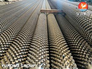 Quality Stainless Steel Seamless Pipe ASTM A312 TP317L with 11Cr Studded Tube , Fired Heater and Furnace Application wholesale