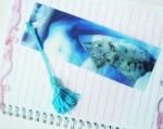 PLASTIC LENTICULAR flip lenticular bookmark printing animation 3d lenticular