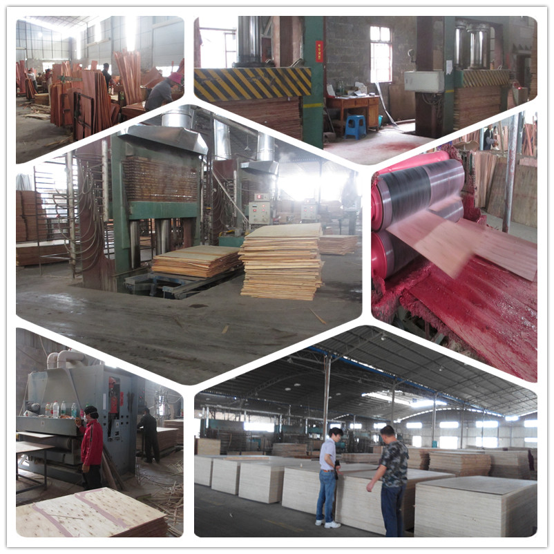 4mm 1220*2440mm Okoumephenolic Film Faced Plywood Marine Grade