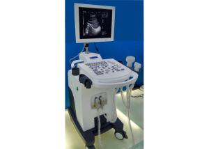 Quality High Resolution 15 Inch LED Fully Digital Trolley Ultrasound Scanner wholesale