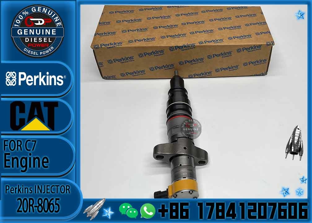 Diesel Fuel Injection Pump Injection 387-9432/20R-8065 387-9432 3879432 Ca3879432 For Caterpillar C9 Engine