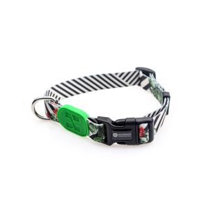 Quality No Pull Cactus Print Dog Collar Harness wholesale