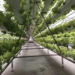 Vertical Nft Hydroponic Growing Channel Grow System For Lettuce Salad Vegetables