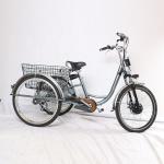 Adult 3 Wheel Electric Tricycle 48V 250W Motor Three Wheel Electric Cargo Bike