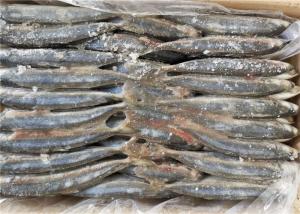 Quality Decapterus Muroaji Under 18 Degree 75g 80g Frozen Fishing Bait wholesale