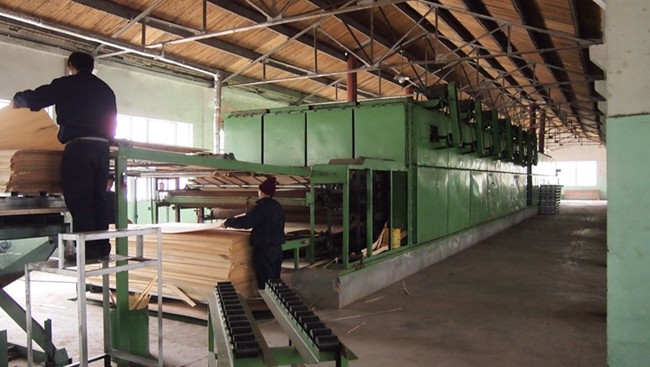 Engineered Wood Veneer EV Veneer White Ash Wood Veneer Customized