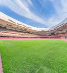 High Carbon PE 30mm Artificial Grass Sports Flooring Field Green