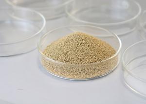 Quality Immobilized Lipase Granule Industrial Enzyme With Good Stability wholesale