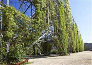 Quality Ferrule Stainless Steel Cable Trellis 1.2mm Rope Diameter For Plant Climbing wholesale