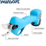 Cordless Electric Pruning Shears 2 Rechargeable Battery Cordless Electric 25mm