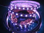 5050 RGBW LED Strip 60leds/m Series