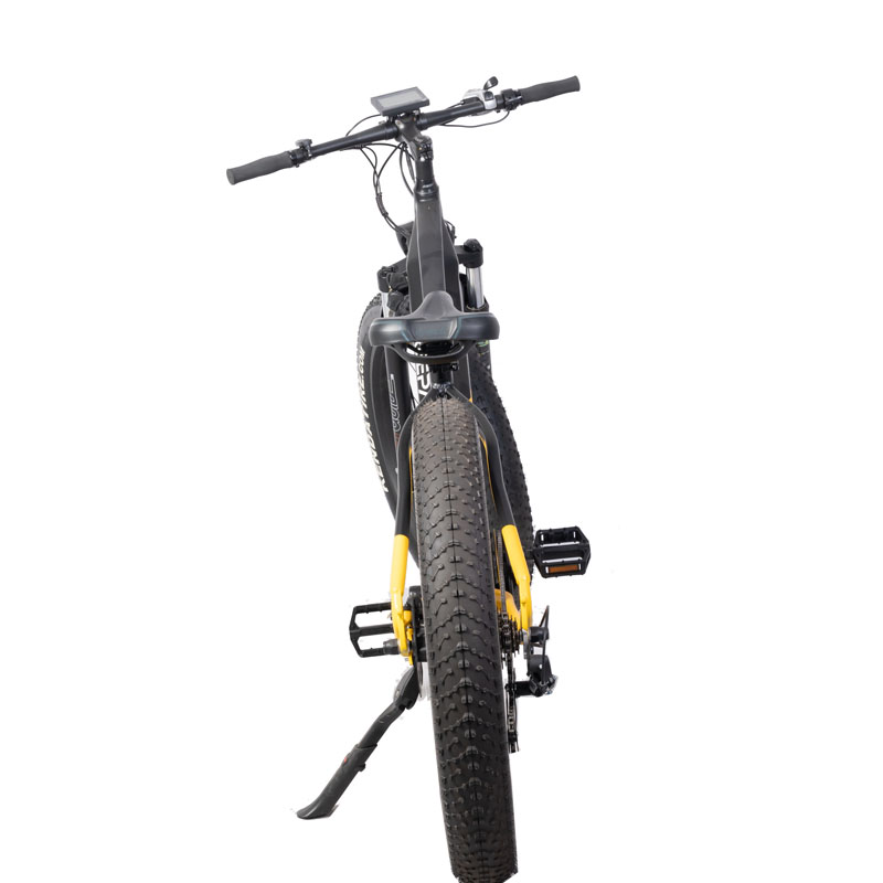 Customized Dual Motor Electric Mountain Bike with 11 Speed Gears and Kenda 26*4.0 Tires