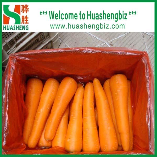 Fresh Red Carrot