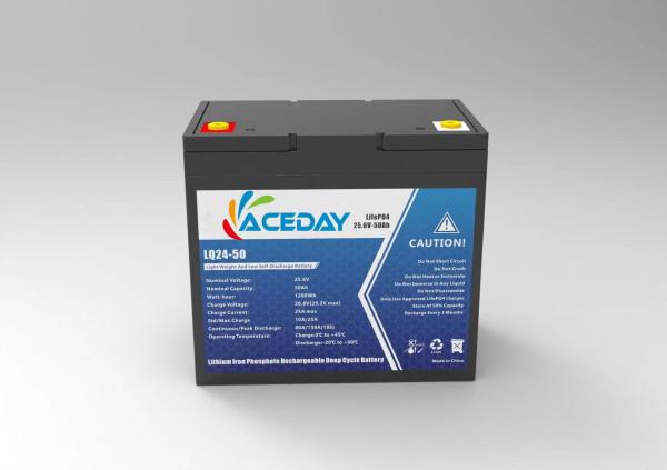 24V50ah Over-discharge Protection Lifepo4 Rechargeable Battery for Portable