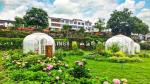 Fashion Clear Bubble Tents