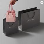 Custom Logo Printed Debossed PMS Paper Bag Packaging For Retail Shopping
