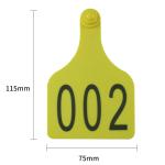 animal cattle ear tags,cow ear tag,super large cattle ear tags