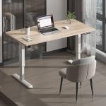 Office Metal Stainless Steel Electric Sit Stand Desk with Motorized Height