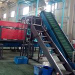 High output scree and mineral color sorter CCD camera mineral color sorter