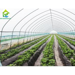 Quality Commercial Single Span Poly Tunnel Greenhouse For Tomatoes wholesale