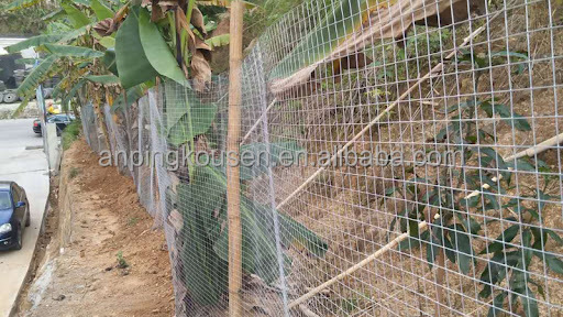 0.4-2.5m Width 1/4 Inch Hot Dipped Galvanized Welded Wire Mesh with 2-5mm Wire Gauge