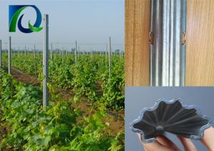 Quality 54x30MM Steel Weatherproof Vineyard Fence Posts wholesale