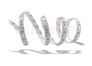 Quality 14.4W 60 RGB LED Strips Lights 12V 120 Degree Beam Angle IP20 RGB LED Strip Lights wholesale